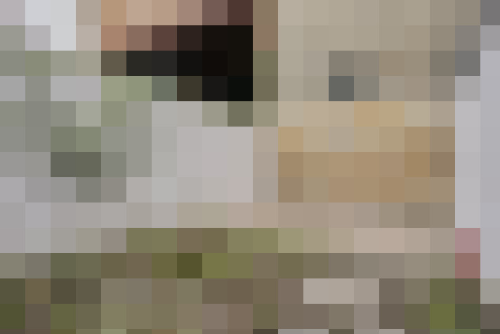 Image 17