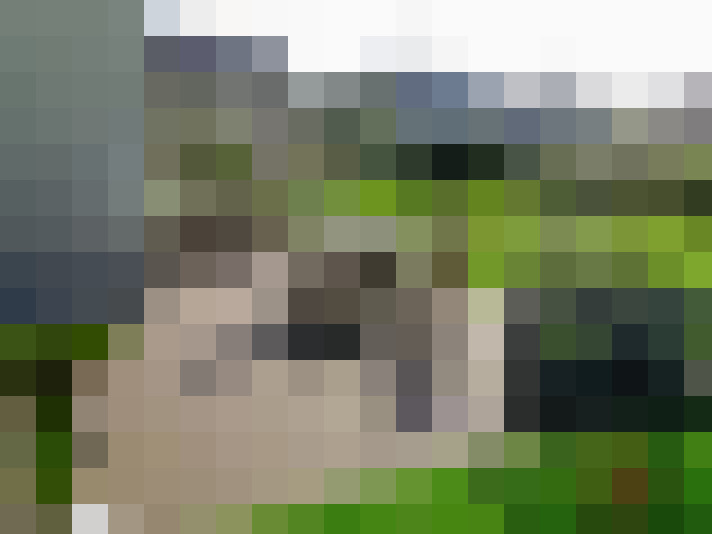 Image 21