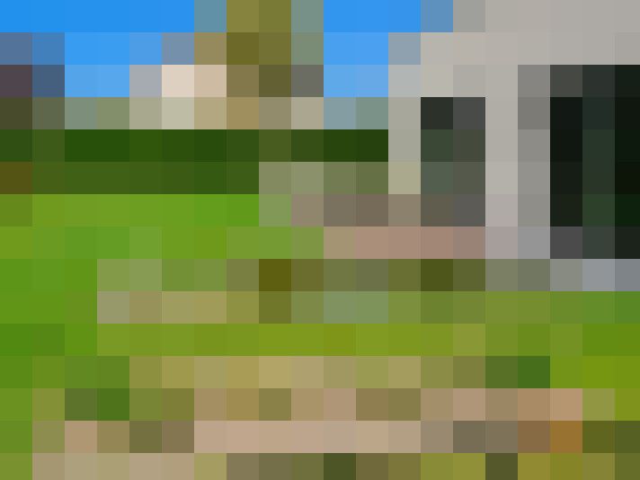 Image 20