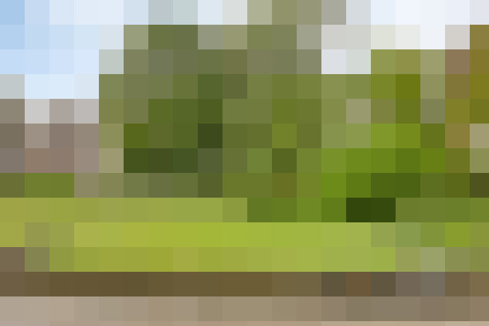 Image 13