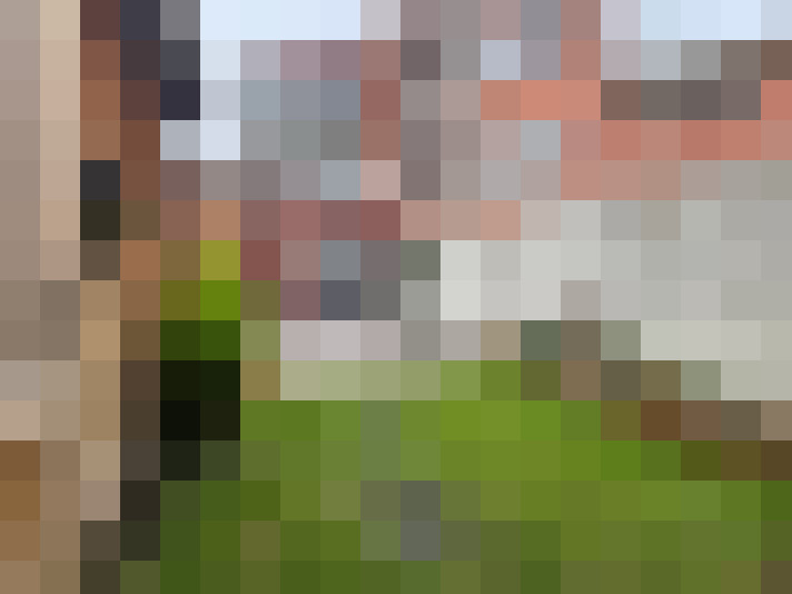 Image 16