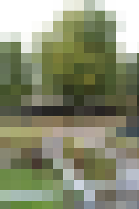 Image 22