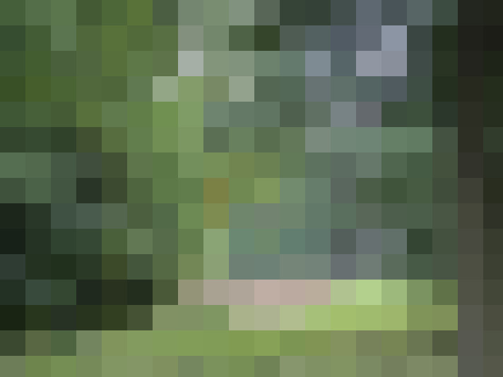 Image 13