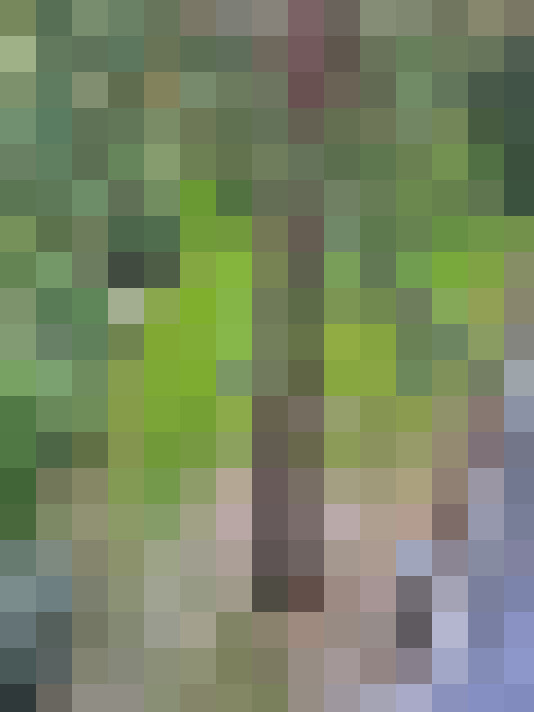 Image 13