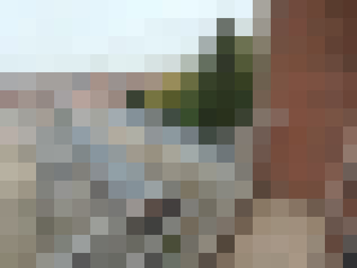Image 14