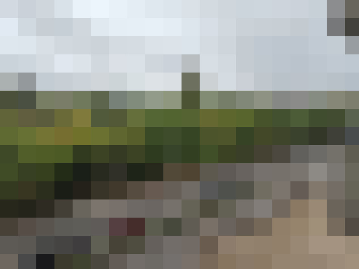 Image 16