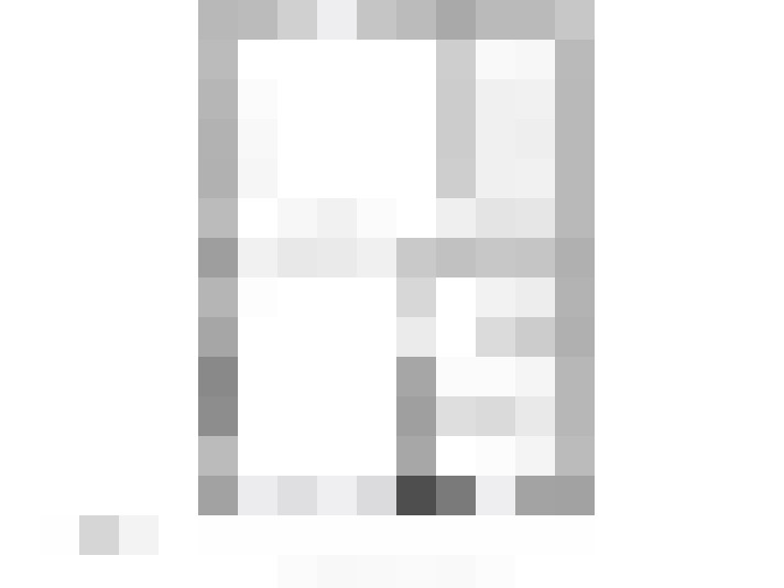 Image 29