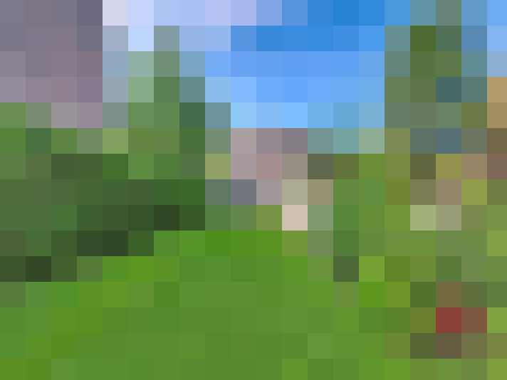 Image 27