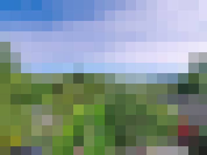 Image 26