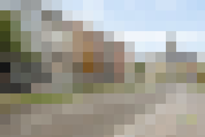 Image 13