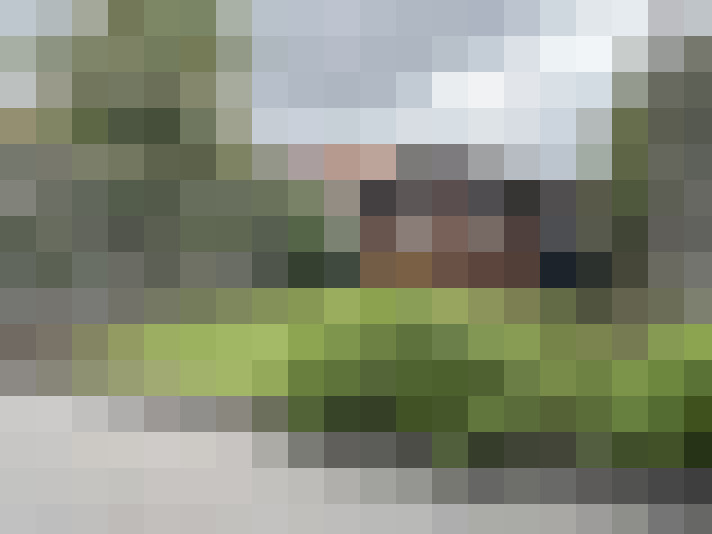 Image 13