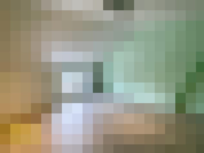 Image 15
