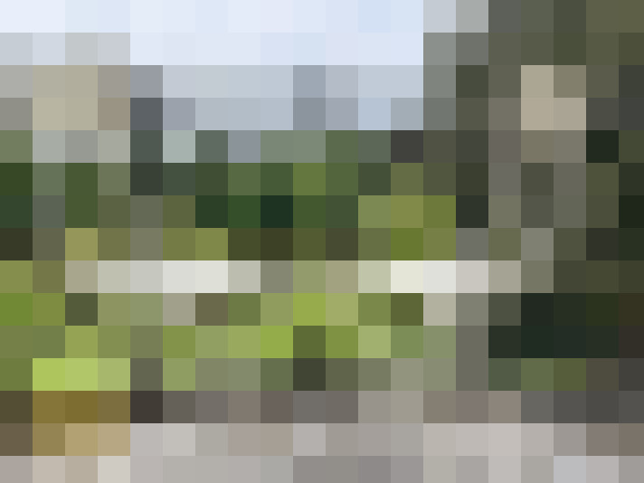Image 17