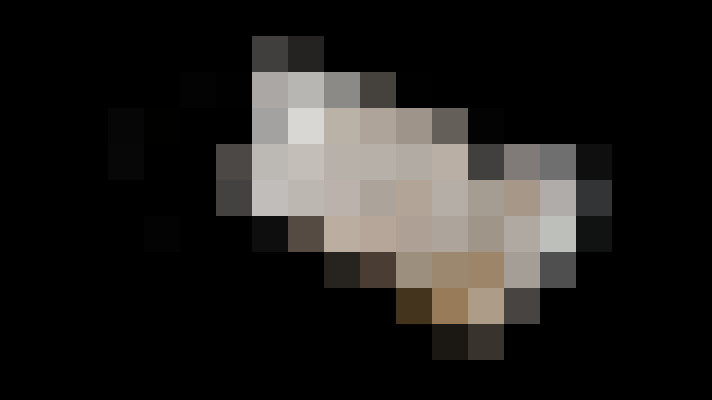 Image 17