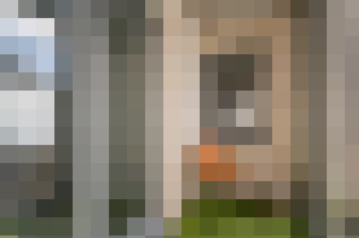 Image 20