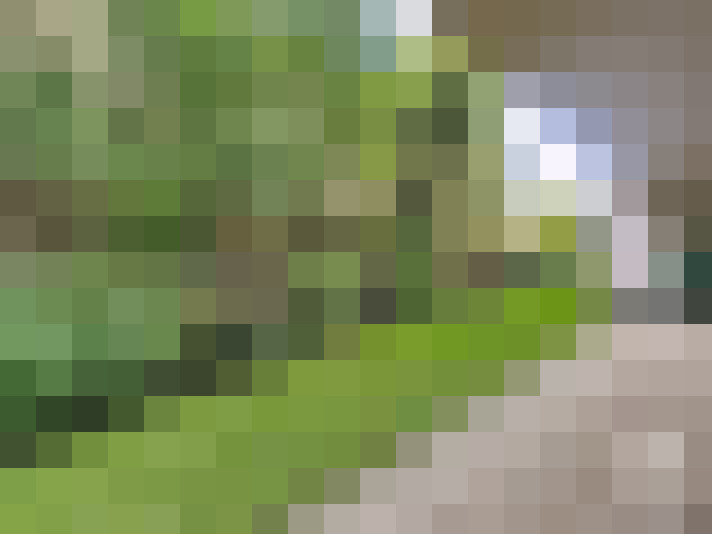 Image 14