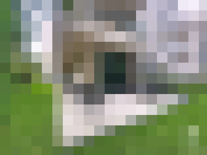 Image 13