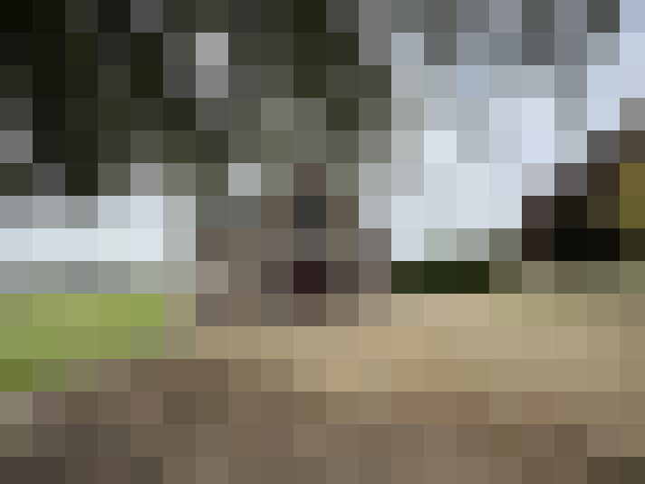Image 16