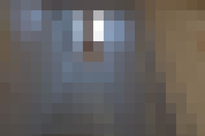 Image 22