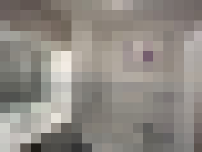 Image 14
