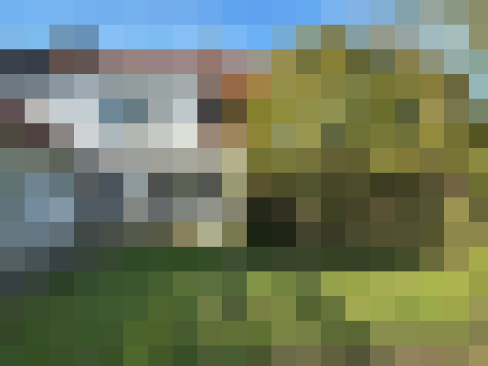 Image 21