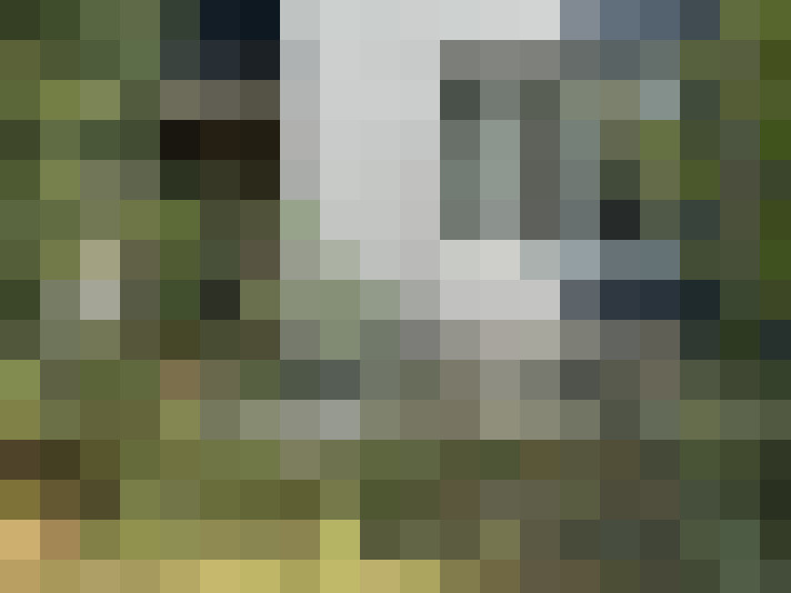 Image 15