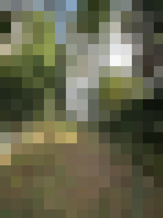 Image 18