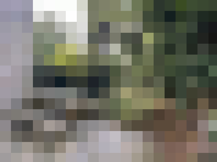 Image 17