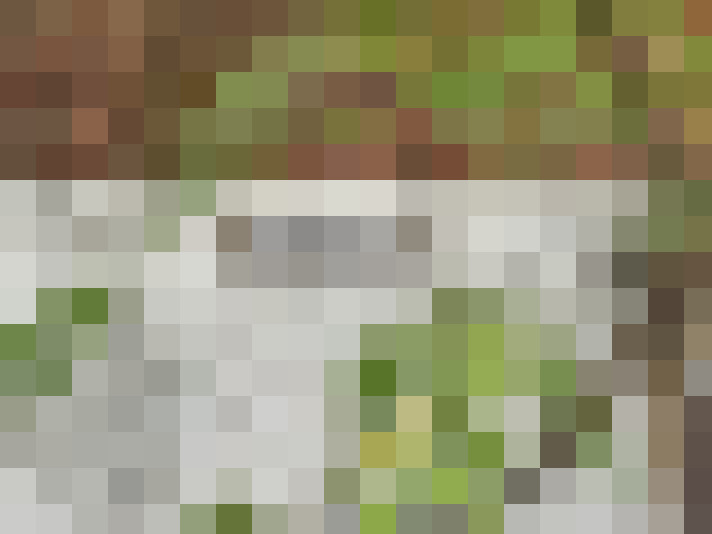 Image 16