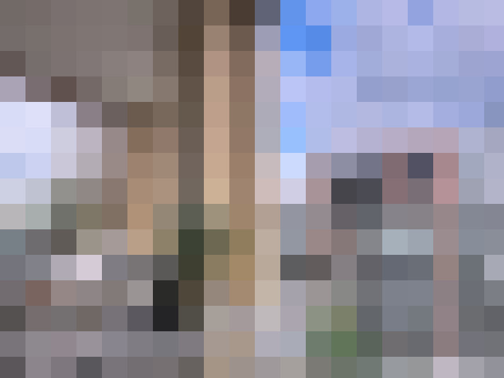 Image 13