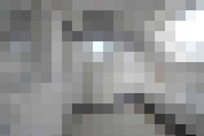 Image 16