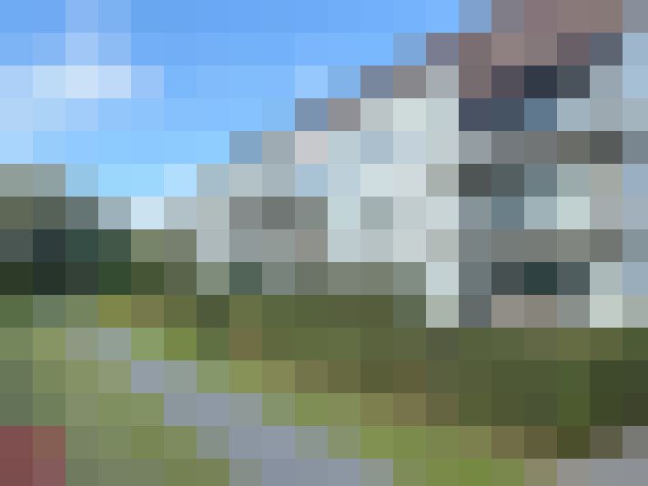 Image 13