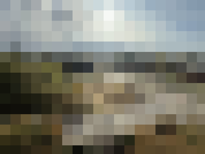 Image 17