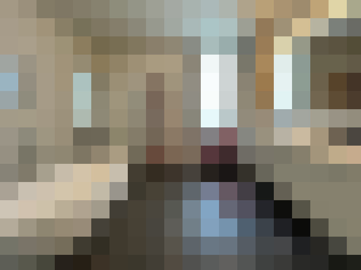 Image 17