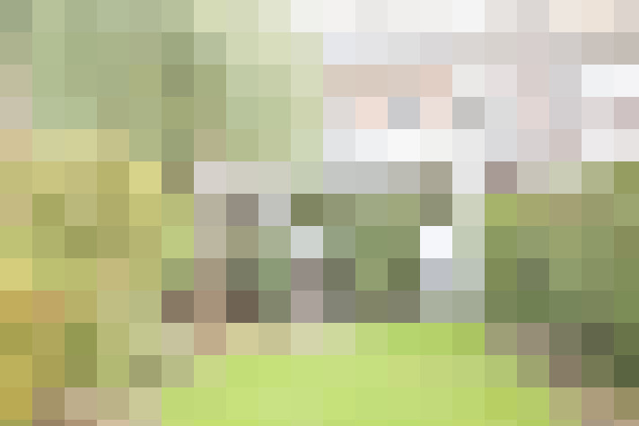 Image 29