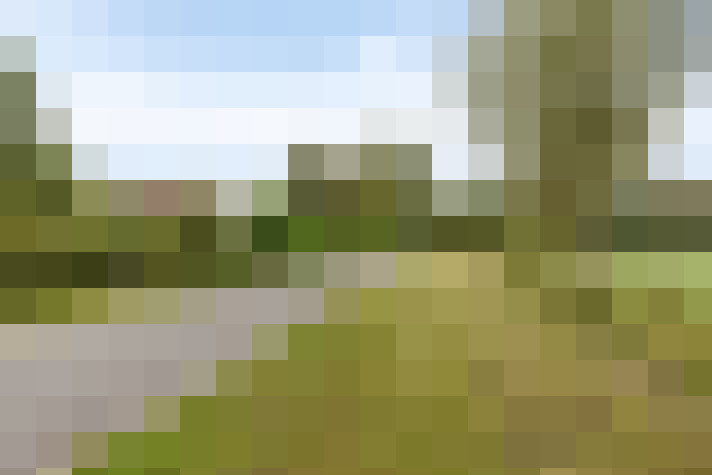 Image 17