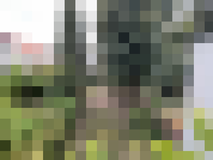 Image 14