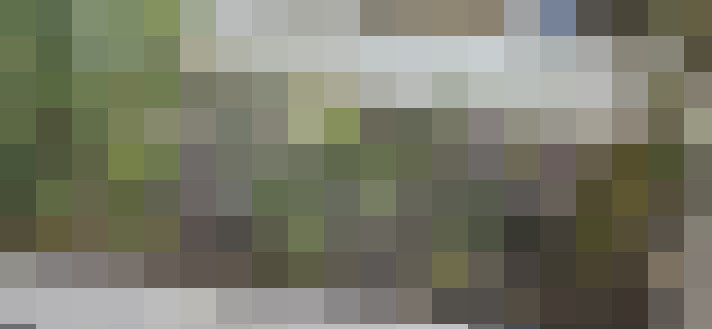 Image 17