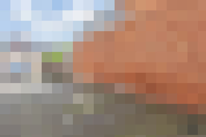 Image 21