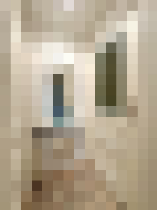 Image 20