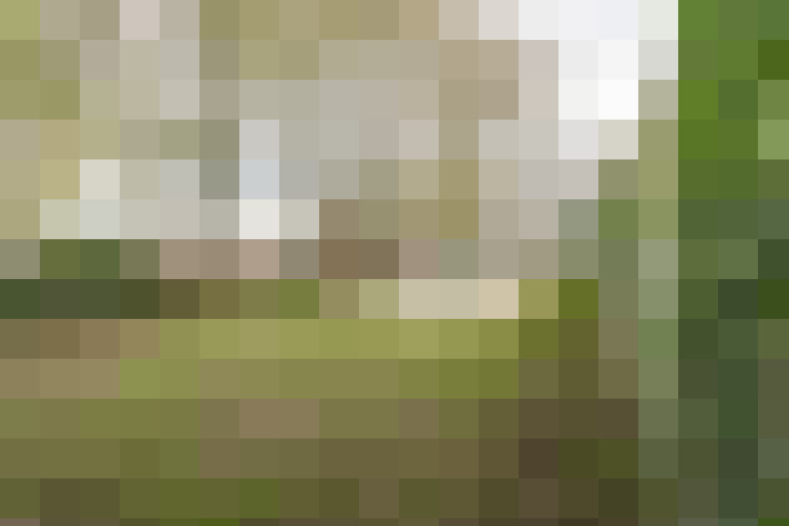 Image 17