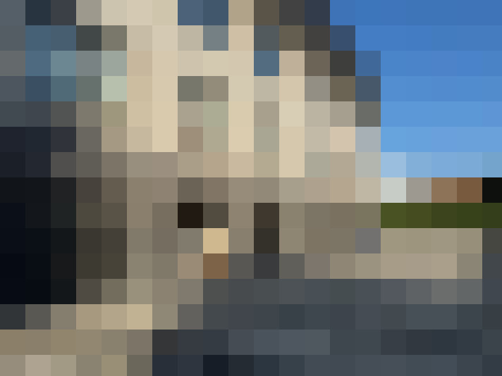 Image 13