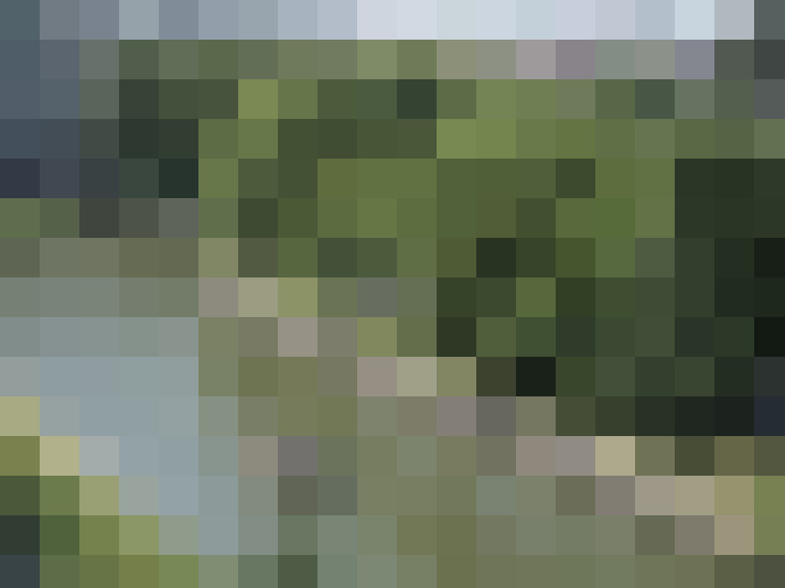 Image 16