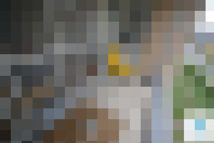 Image 13