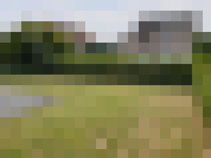 Image 13