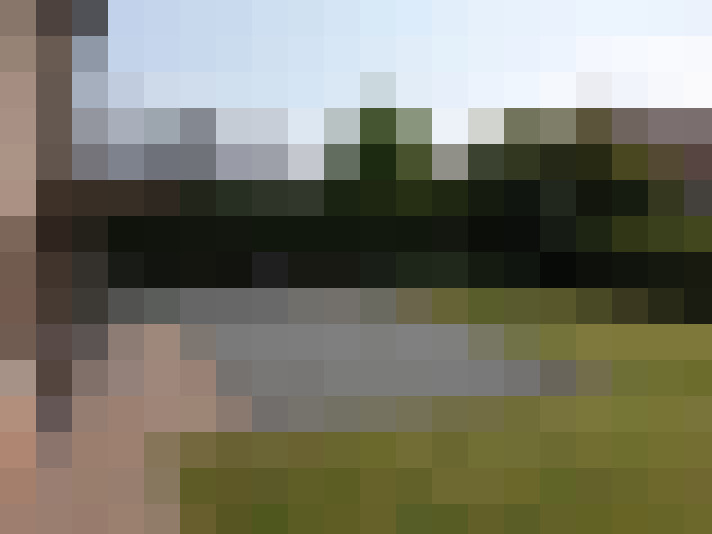 Image 14