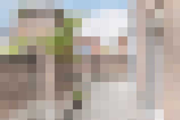 Image 13