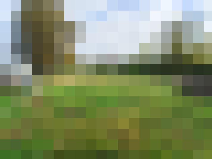 Image 17