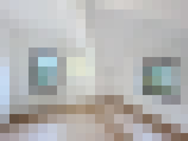 Image 20