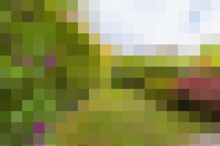 Image 25